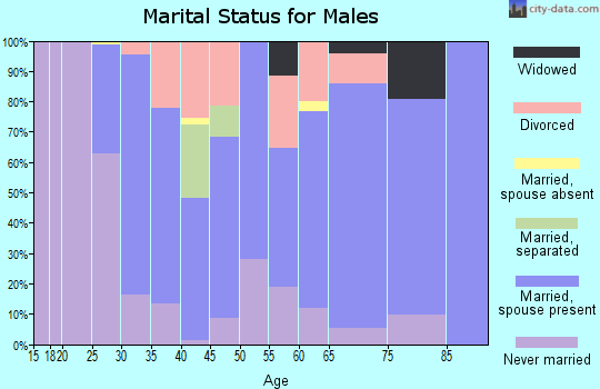 Zip code 43845 marital status for males