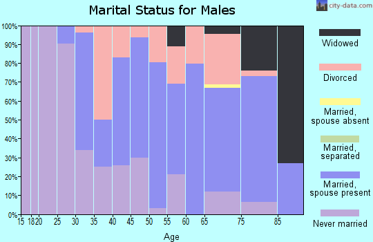 Zip code 43901 marital status for males