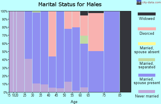 Zip code 43903 marital status for males