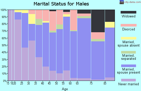 Zip code 43906 marital status for males