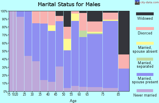 Zip code 43907 marital status for males