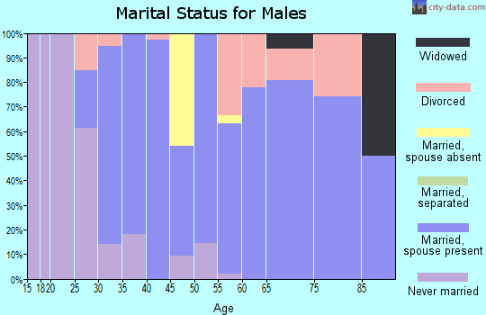Zip code 43910 marital status for males