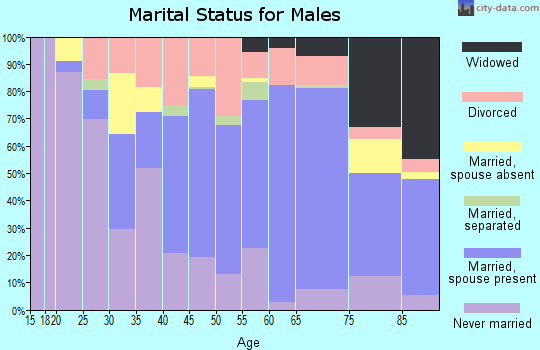 Zip code 43912 marital status for males