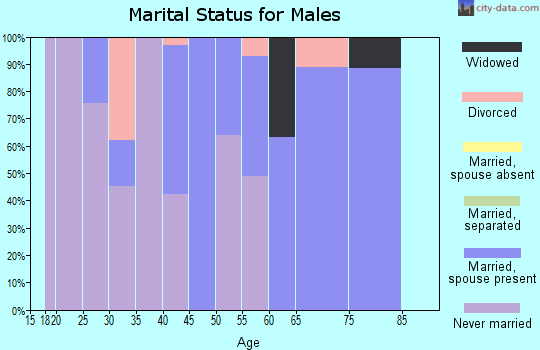 Zip code 43913 marital status for males