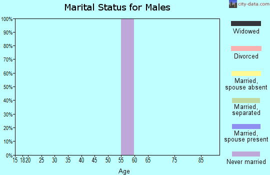 Zip code 43914 marital status for males
