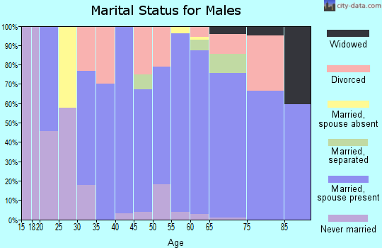 Zip code 43915 marital status for males