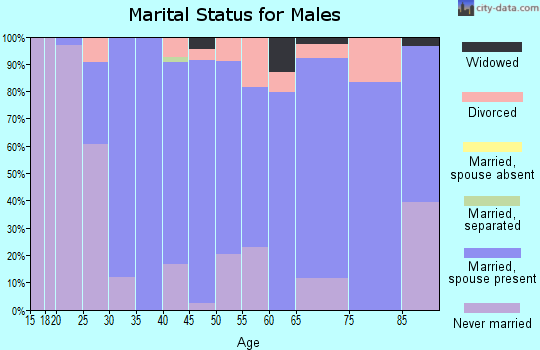 Zip code 43917 marital status for males
