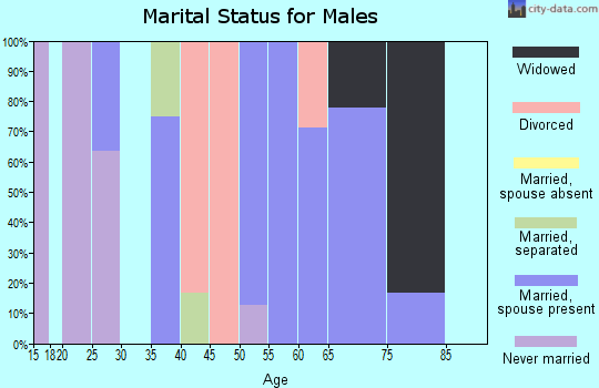 Zip code 43926 marital status for males