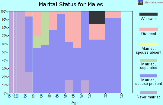 Zip code 43932 marital status for males