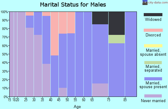 Zip code 43933 marital status for males