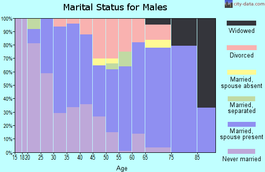 Zip code 43935 marital status for males