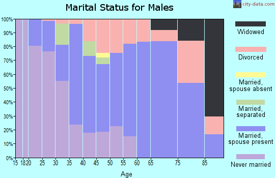 Zip code 43938 marital status for males