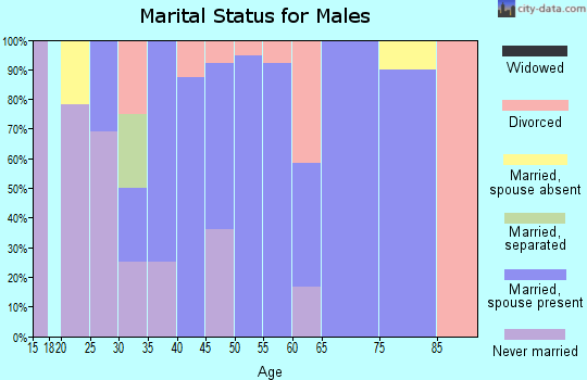 Zip code 43939 marital status for males