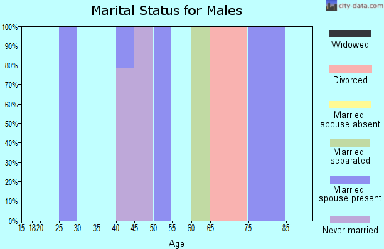 Zip code 43940 marital status for males