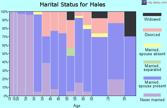 Zip code 43942 marital status for males