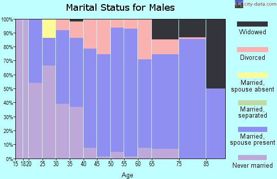 Zip code 43943 marital status for males