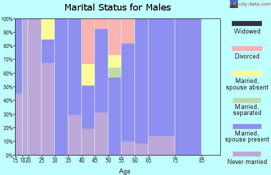 Zip code 43946 marital status for males