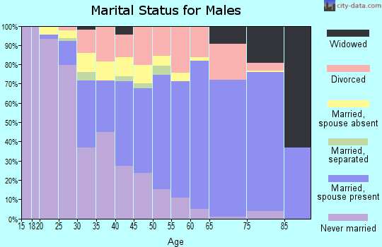 Zip code 43950 marital status for males