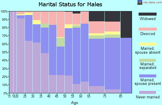 Zip code 43952 marital status for males