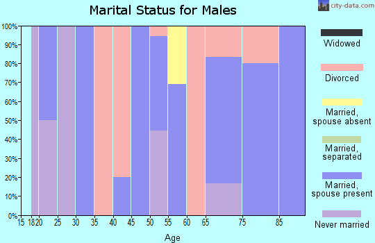 Zip code 43961 marital status for males