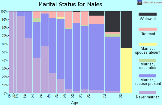 Zip code 43964 marital status for males