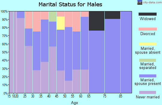 Zip code 43971 marital status for males