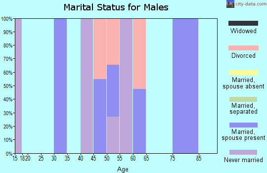 Zip code 43983 marital status for males