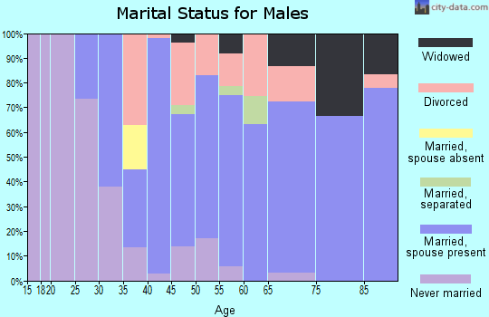 Zip code 44003 marital status for males