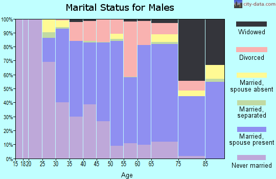 Zip code 44017 marital status for males