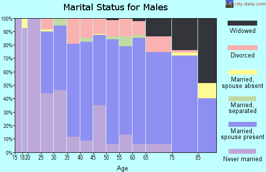 Zip code 44028 marital status for males