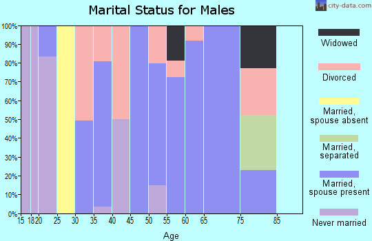 Zip code 44032 marital status for males