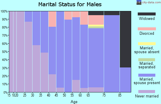 Zip code 44040 marital status for males
