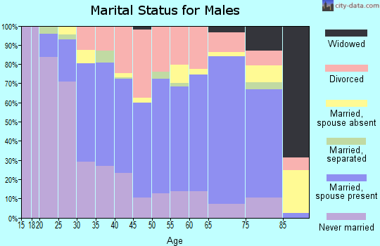 Zip code 44041 marital status for males