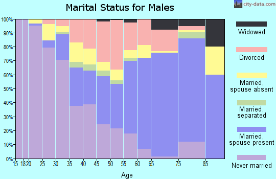 Zip code 44044 marital status for males