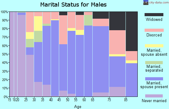 Zip code 44047 marital status for males