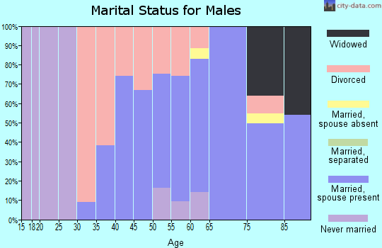 Zip code 44048 marital status for males