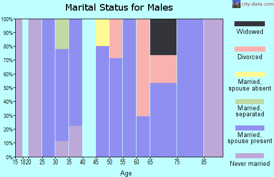 Zip code 44049 marital status for males