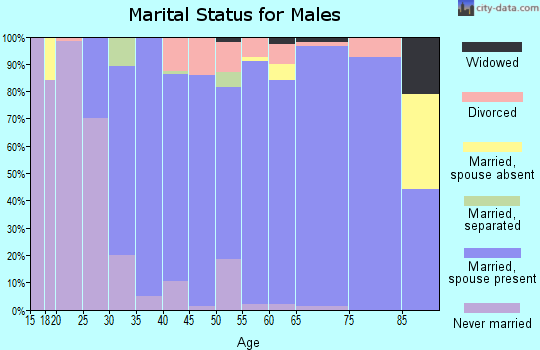 Zip code 44050 marital status for males