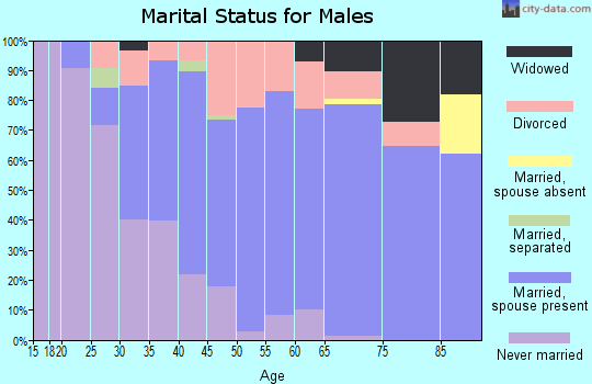 Zip code 44054 marital status for males
