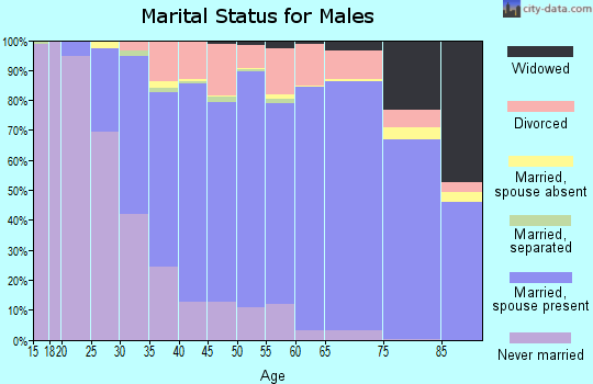 Zip code 44060 marital status for males