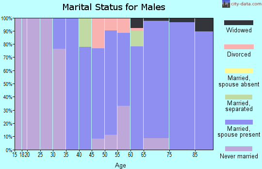 Zip code 44065 marital status for males