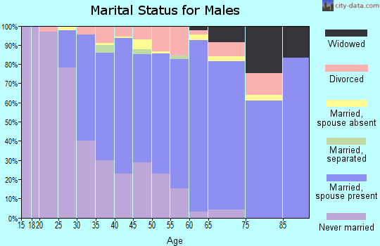 Zip code 44067 marital status for males