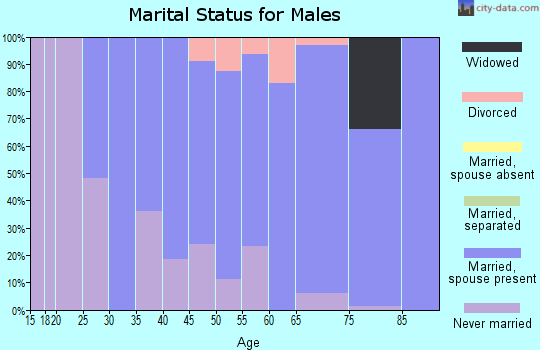 Zip code 44072 marital status for males