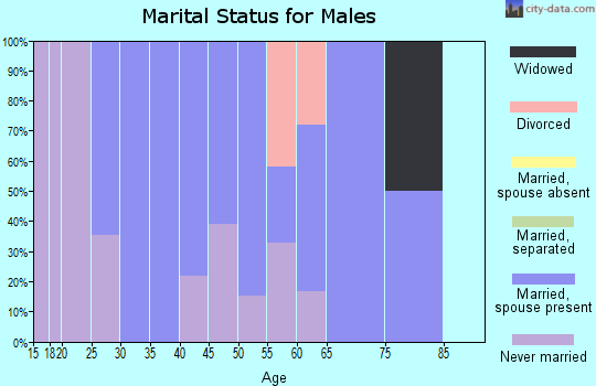 Zip code 44099 marital status for males