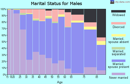 Zip code 44129 marital status for males