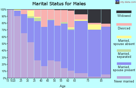 Zip code 44142 marital status for males