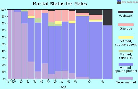 Zip code 44147 marital status for males