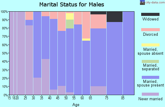 Zip code 44201 marital status for males