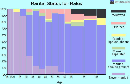 Zip code 44202 marital status for males