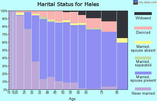 Zip code 44212 marital status for males